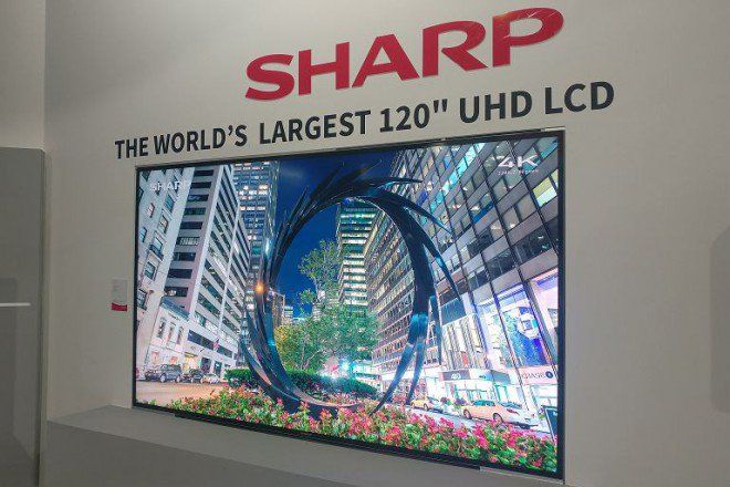 Sharp presenta a IFA il TV 8k Ultra HD