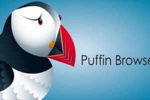 Arriva Puffin il browser superveloce per Windows