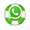 WhatsApp Recovery