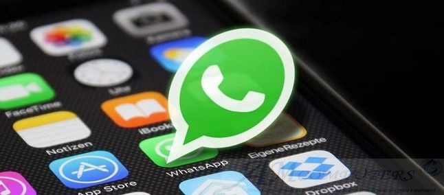 Come trasferire i backup di Whatsapp da iOS ad Android