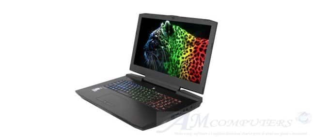 Notebook Clevo P870X Intel Core i9-9900K GeForce RTX 2080