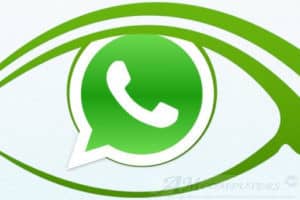 WhatsApp entrare in chat da invisibili ecco come fare