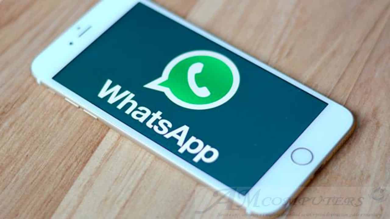 WhatsApp rischio denuncia per chi abusa della piattaforma