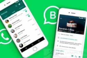 WhatsApp Business diventa un e-commerce