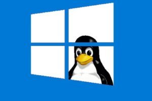 Sistema Operativo Linux open source