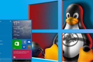 Come trasformare Linux in Windows 10 con dei piccoli Passaggi