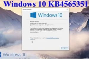 Windows 10 KB4565351 disponibile al Download