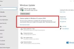 Windows 10 October 2020 Update x64
