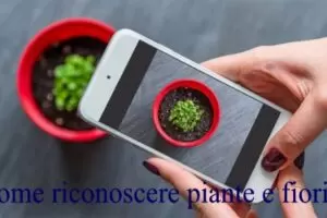 Come riconoscere piante e fiori tramite App Gratis