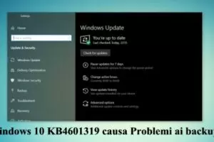 Windows 10 KB4601319 causa molti Problemi ai backup