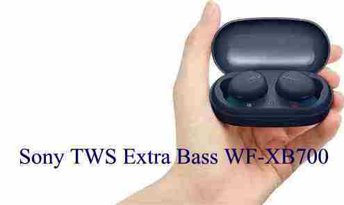 Sony TWS Extra Bass WF-XB700 Auricolari Bluetooth