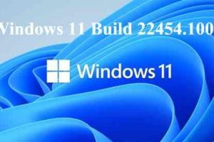 Windows 11 Build 22454.1000 Funzionalità e miglioramenti