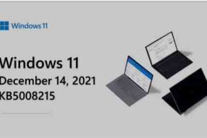 Windows 11 Patch Tuesday Dicembre 2021