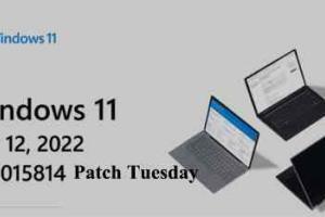 Windows 11 KB5015814 Patch Tuesday Luglio 2022