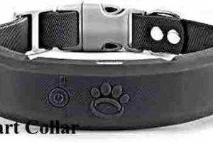 Smart Collar: il Collare Smart per la salute dei cani