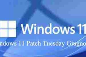 Windows 11 Patch Tuesday Giugno 2023