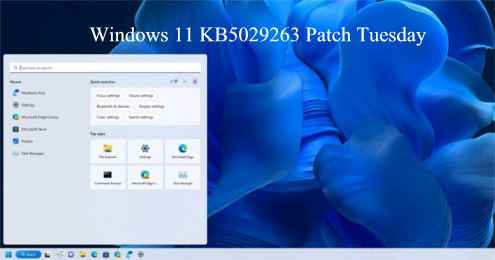 Windows 11 KB5029263 Patch Tuesday Agosto 2023 