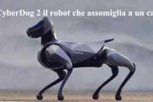 Xiaomi CyberDog 2 il robot che assomiglia a un cane